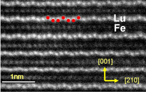LuFeO<sub>3</sub>:  a new room-temperature multiferroic material featured image