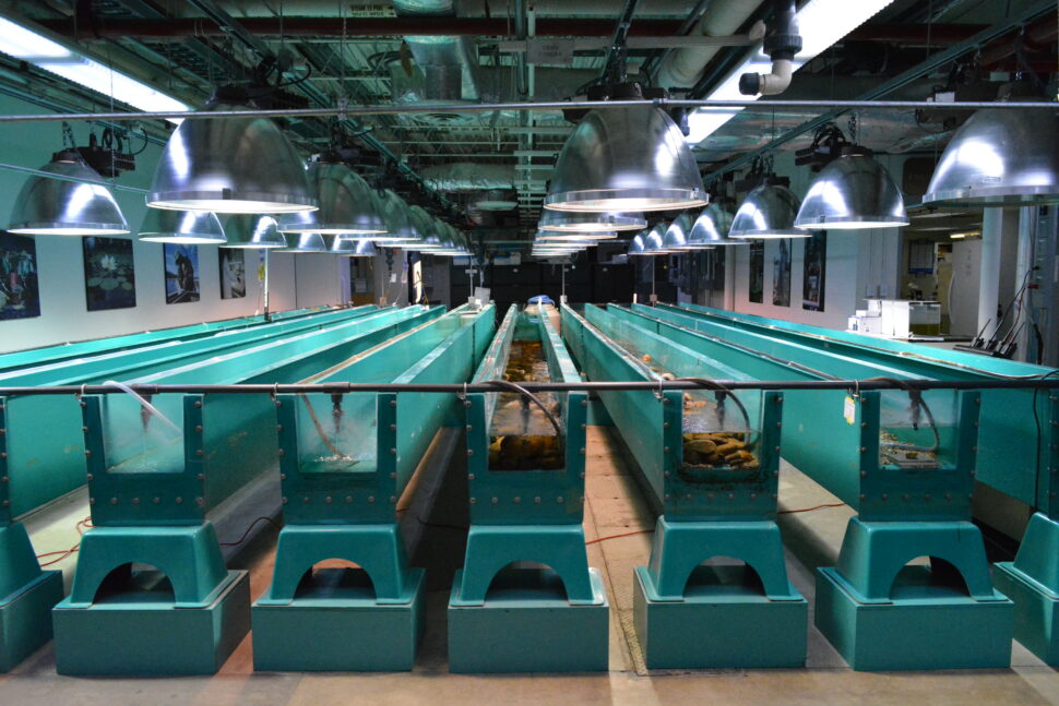 inside the Aquatic Ecology Lab