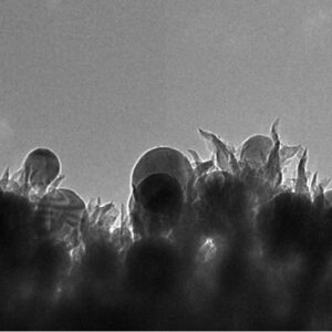 Nano-spike catalysts convert carbon dioxide directly into ethanol featured image