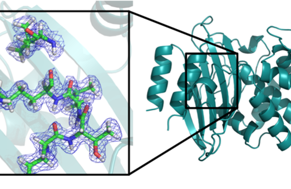 Mathematics in Computation - Data Analysis and Machine Learning - graphic representation of molecular foliding