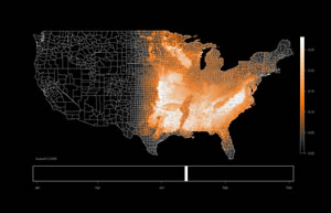 New DataONE portal streamlines access to environmental data