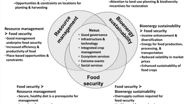 Reconciling food security and bioenergy: priorities for action