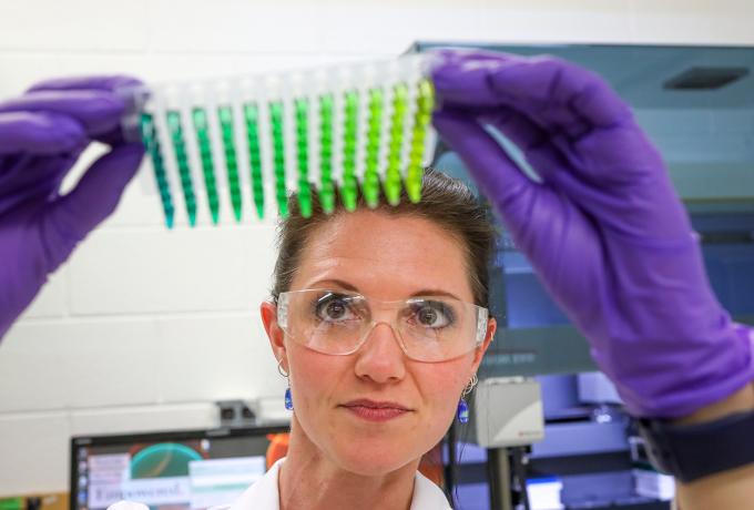 researcher examining sample
