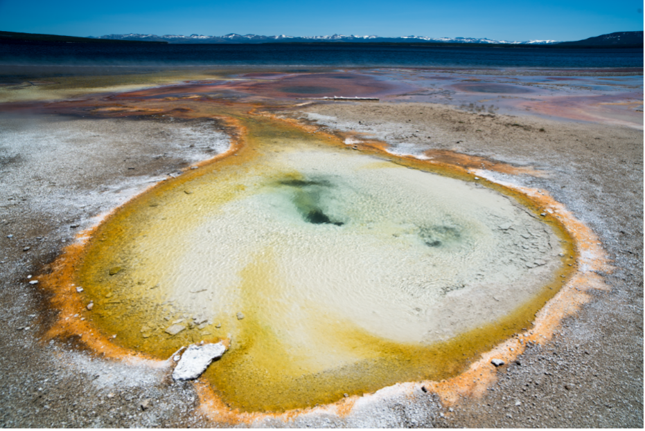 Scientists conducted microbial DNA sampling at a Yellowstone National Park hot spring for a study sponsored by DOE’s Biological and Environmental Research program, the National Science Foundation and NASA. Credit: Mircea Podar/ORNL, U.S. Dept. of Energy 