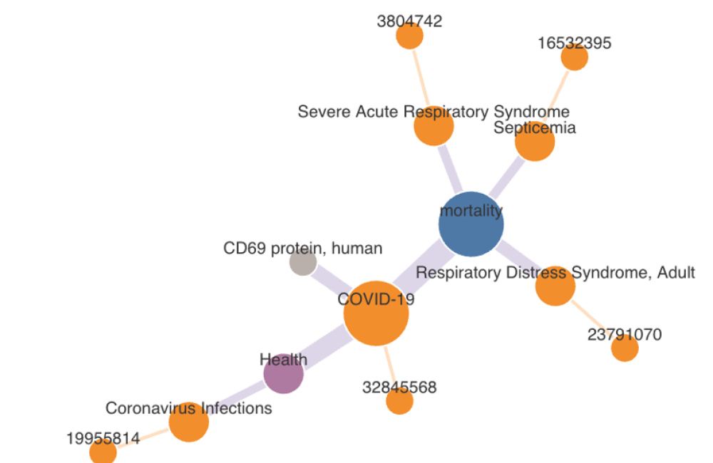Mathematics in Computation - Discrete Algorithms - Covid-19 infection stages graphic