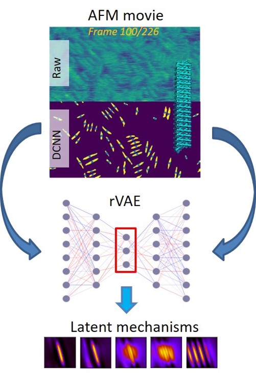 Exploring Protein Self-Organization with Machine Learning