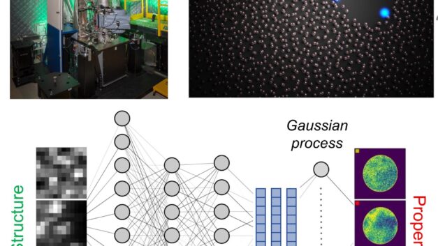 Machine learning-enabled automated experiments in electron microscopy