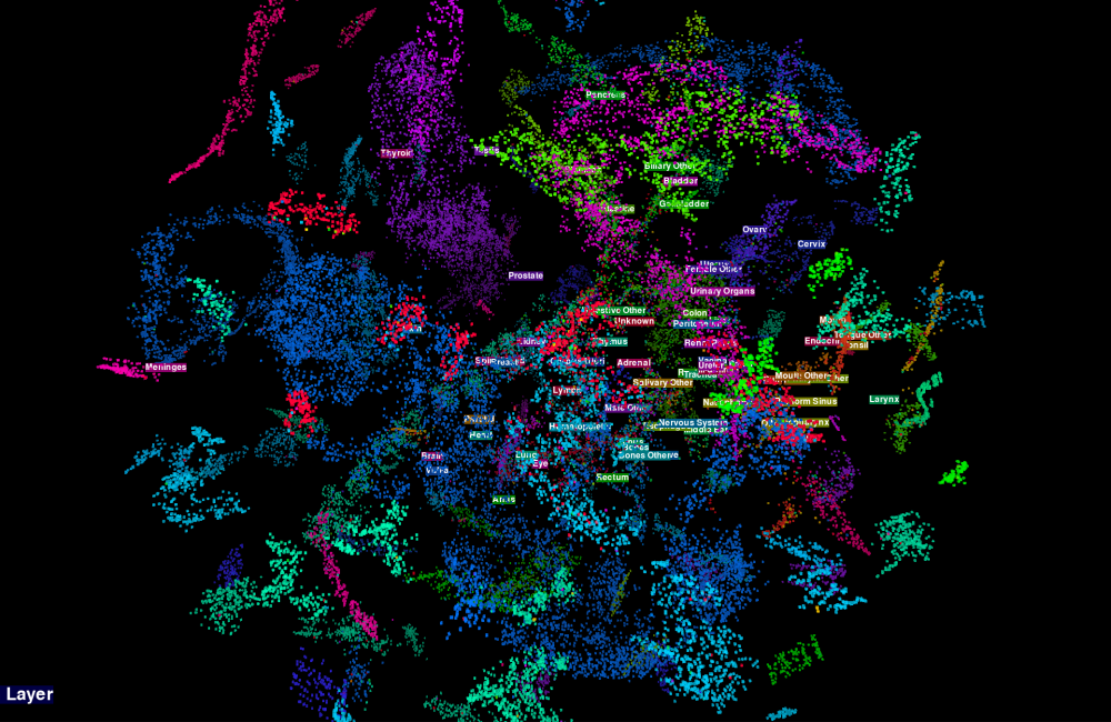 Advanced Computing in Health Sciences - data visualization graphic