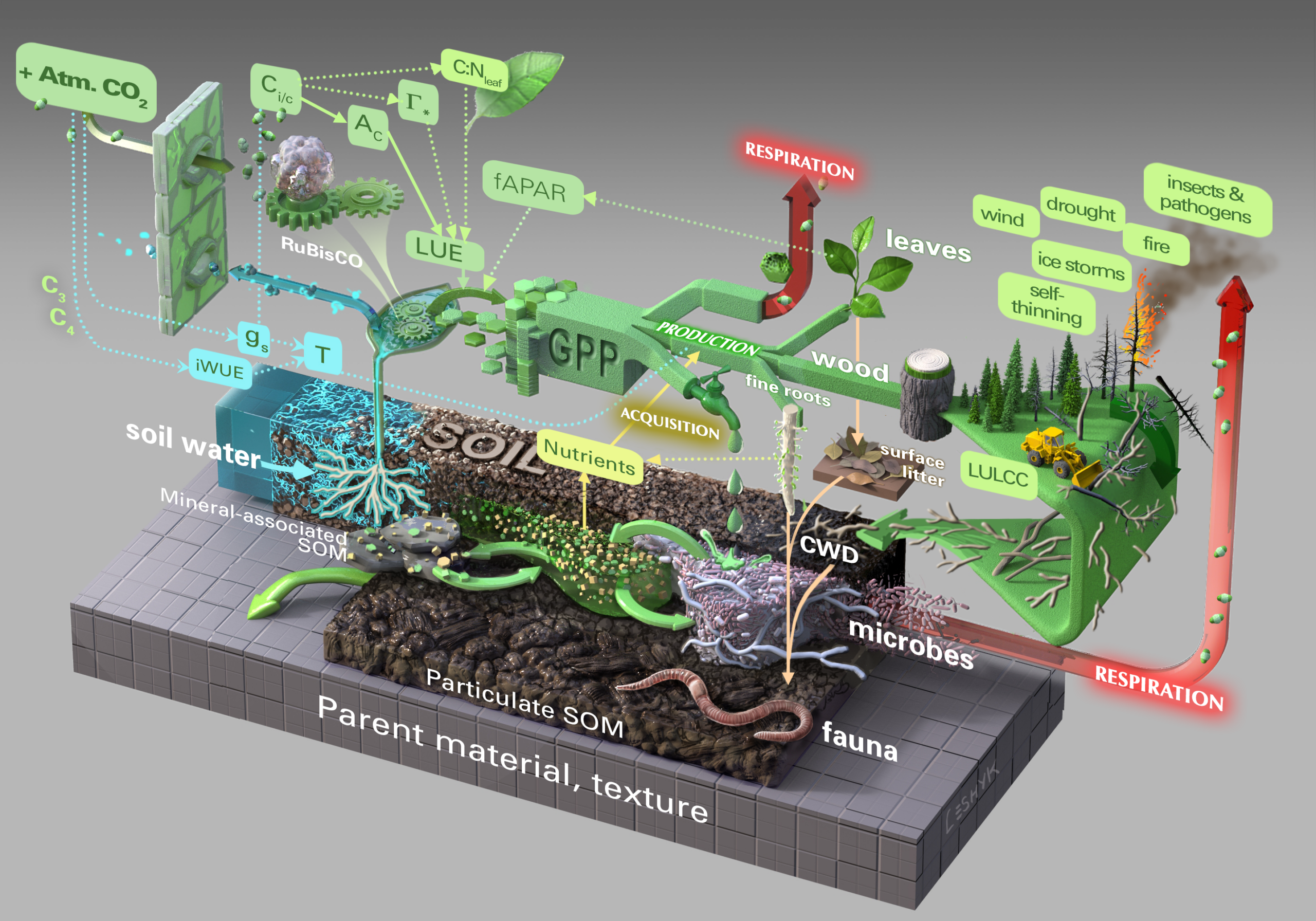 Illustration of FACE MDS Ecosystem
