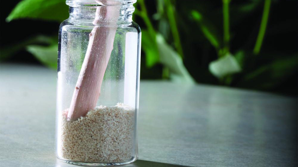 A small glass vial holds melt-spun precursor to be used in the fiber production line.