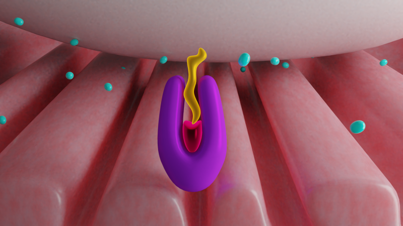 A fast-acting antidote to mitigate the effects of organophosphate poisoning