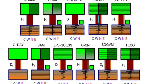 Ecosystems – Identifying model uncertainties