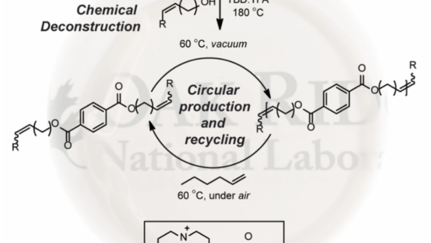 ORNL Placeholder Image