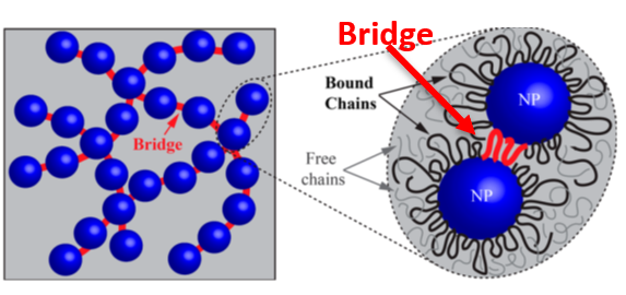 Polymer Bridges Strengthen Nanocomposites