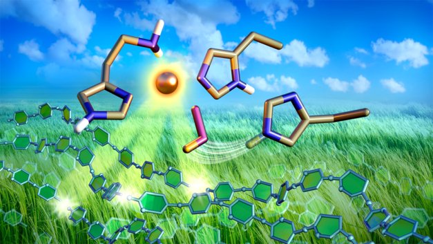 The copper key to more efficient biomass breakdown