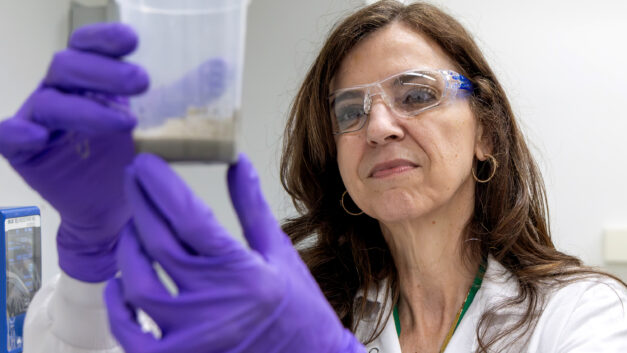 A scientist wearing a lab coat, safety glasses and purple gloves measures and examines concrete material samples using laboratory equipment.