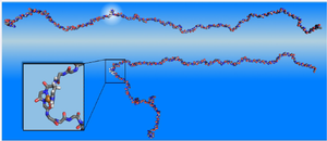 Researchers Pinpoint How Copper Folds Protein into Precursors of Parkinson’s Plaques