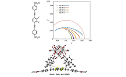 Rotational Dynamics of an Amphidynamic Zirconium MOF Determined by Dielectric Spectroscopy