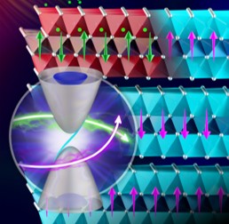 ORNL Placeholder Image