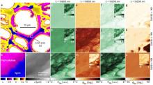 Microscopy – Biomass close-up