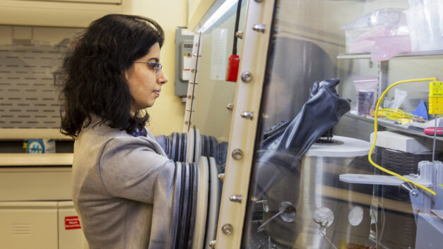 Researchers team up to get a clearer picture of molten salts