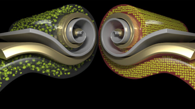 ORNL Placeholder Image