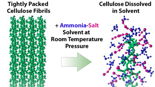 How to Make it Easier to Turn Plant Waste into Biofuels