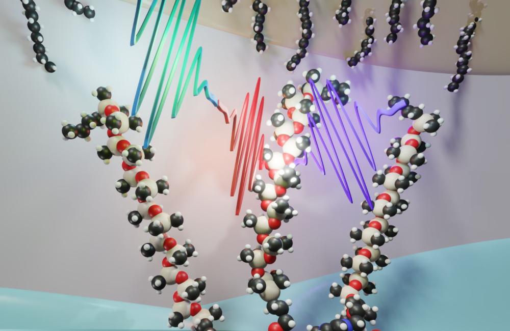 molecular models