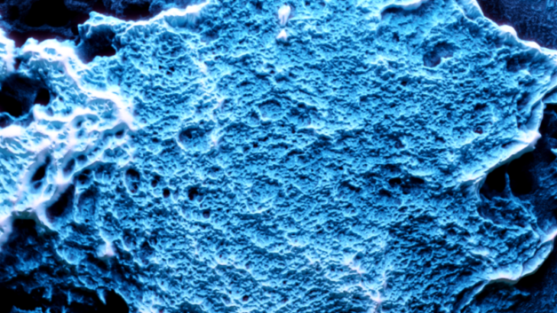 ‘Nanoreactor’ grows hydrogen-storage crystals