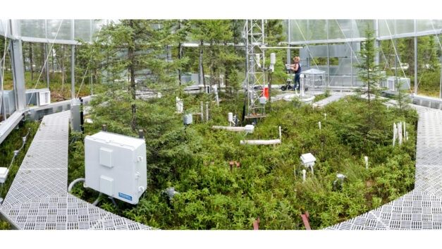 DOE event marks beginning of landmark ecosystem experiment