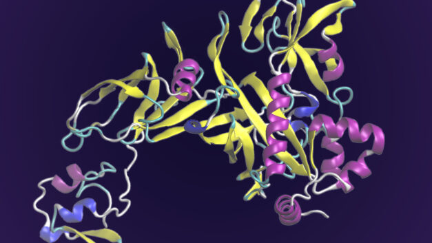ORNL Placeholder Image