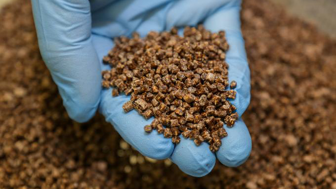A gloved hand holds wood-derived pellets.