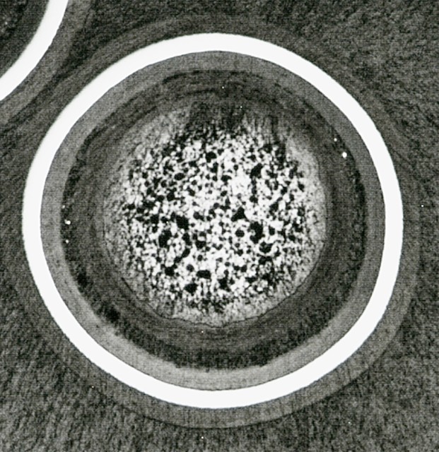 Microscopic cross-section of a layered TRISO fuel particle.